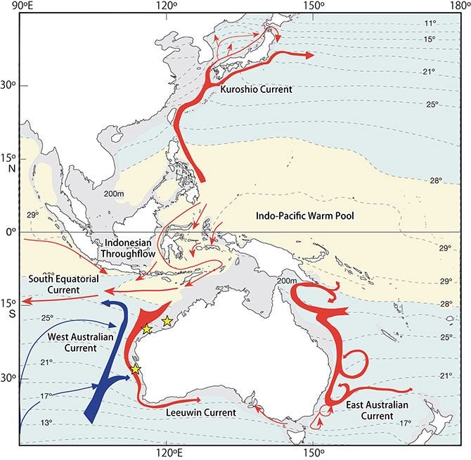 Illustrasi Indonesian Throughfow. Sumber: jamstec.go.jp