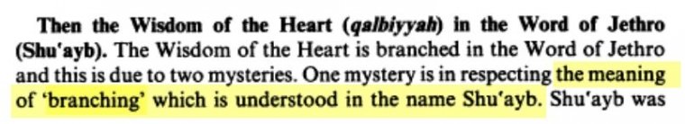 Makna nama Shu'ayb di buku Ismail Hakki Bursevi's Translation of and Commentary on Fus Al-ikam by Muhyiddin Ibn Arabi, Volume 1 (1986) (dokpri)