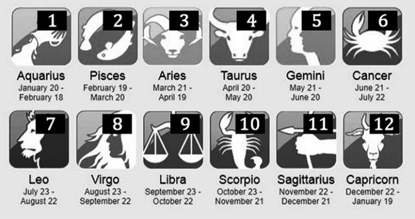 Susunan Zodiak dalam astrologi (dokpri)